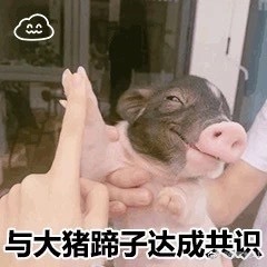 cf0db95895f571010d12ff4df839d494.jpg