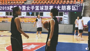 杨力维教1.gif