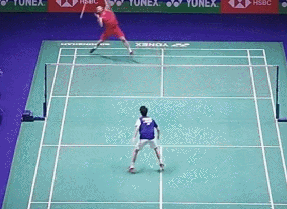 GIF.gif