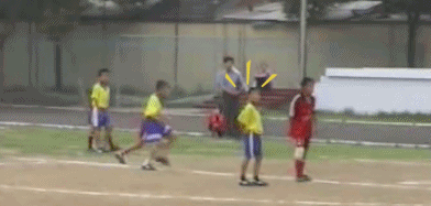 1.gif