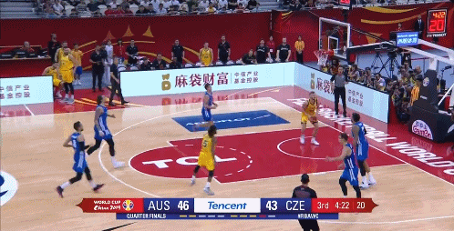 兰代尔双手暴扣打停捷克.gif