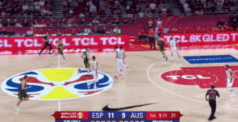 戴拉维多瓦三分命中 (1).gif