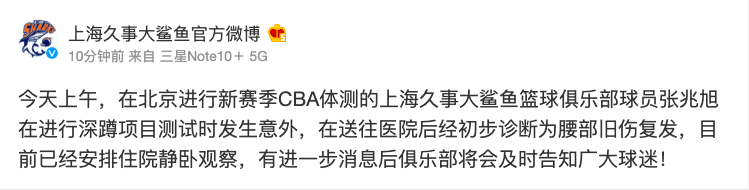 大鲨鱼微博.png