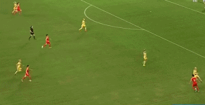 进球.gif
