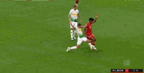 1570273420744171861.gif