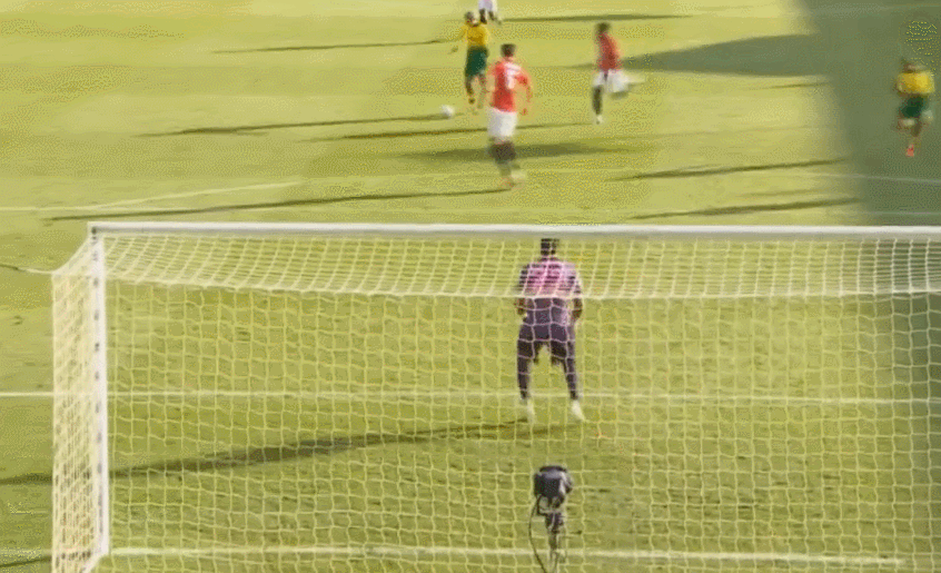 1-1.gif