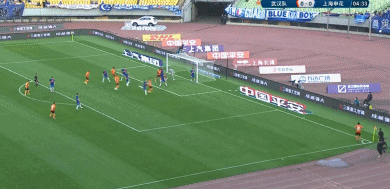 申花1.gif