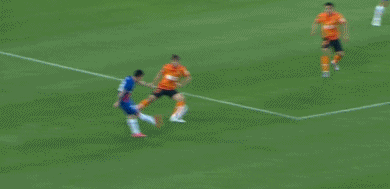申花2.gif