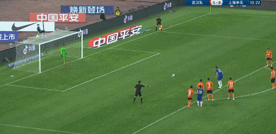 申花3.gif