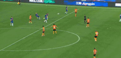 申花5.gif