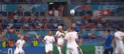 19-2.gif