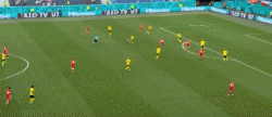 49.gif