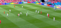12.gif