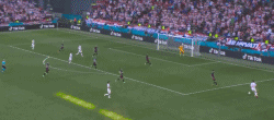19.gif