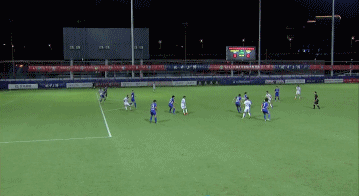 4.gif