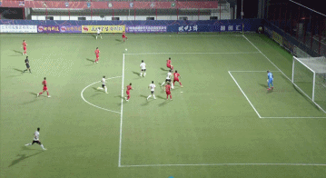 6.gif
