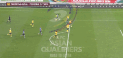 8.gif