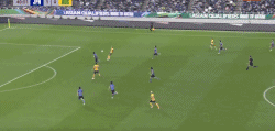 41.gif
