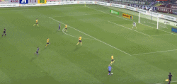 43.gif