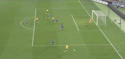 65.gif
