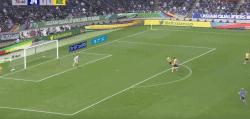 79.gif