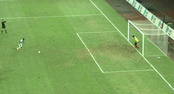 6.gif