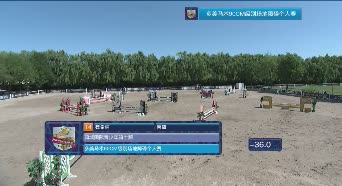 2019鸟巢之路收官站 多美马术90CM 骑域国际青少年骑士院 魏希桐 番茄