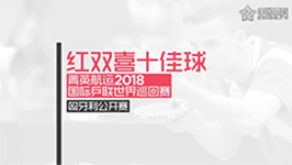 红双喜 菁英航运2018匈牙利公开赛十佳球