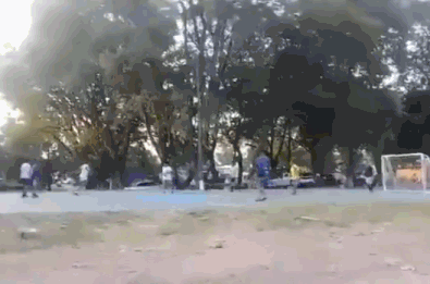 2020_0314_58ee1157g00q75top0343c000az0079c.gif