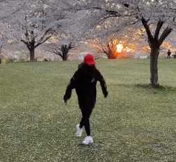 2020_0501_2174c9acg00q9mrz905z2c00071006hc.gif