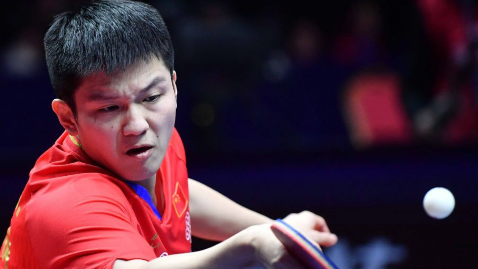 保公赛 | 国乒独苗挺进半决赛!郑培锋/夏易正险胜中国台北老将