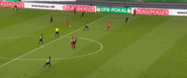 5.gif