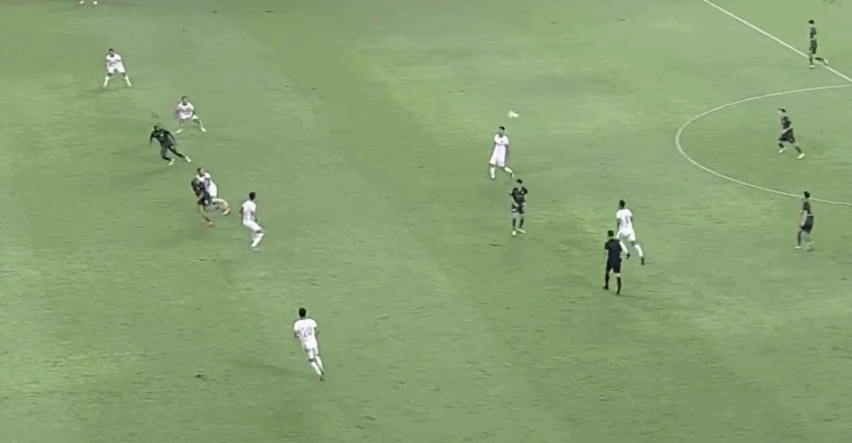 4.gif