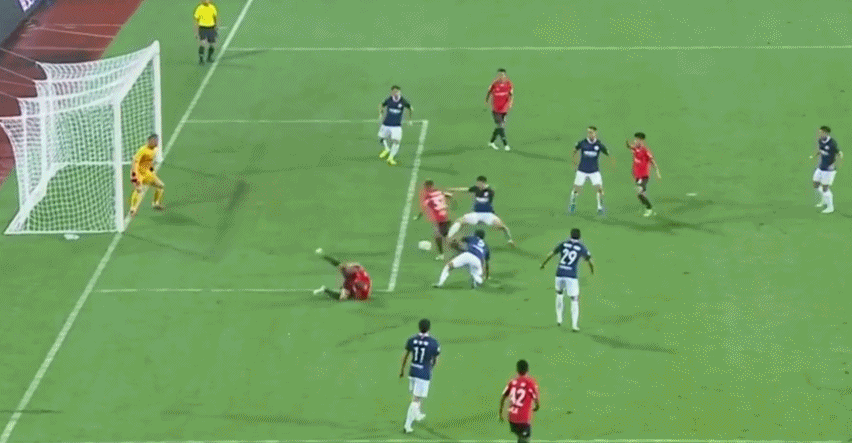 6.gif