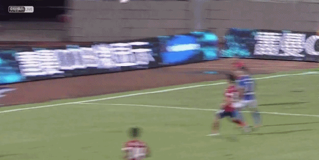 2.gif