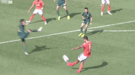 张野.gif