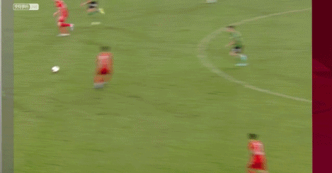 塞尔吉尼奥.gif