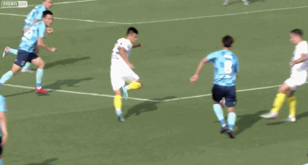 塞尔吉尼奥.gif