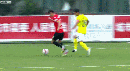 莱昂纳多.gif