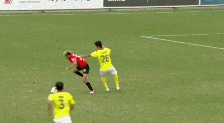 金塔纳.gif