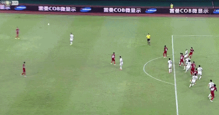 肖震再次.gif