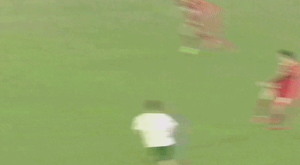 753ed42fly1gjcenpq2d1g20bw06ke84 (1).gif