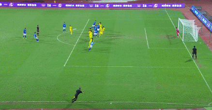 张新林.gif