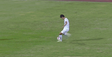 231.gif