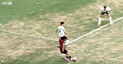 5.gif