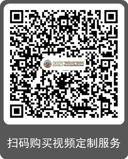 视频定制.png