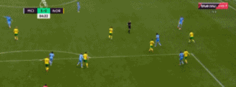 11.gif