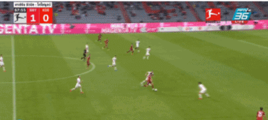8.gif