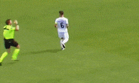 主裁判下跪.gif