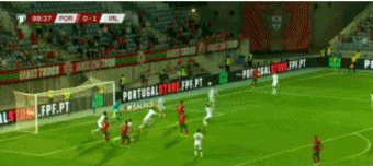 1.gif